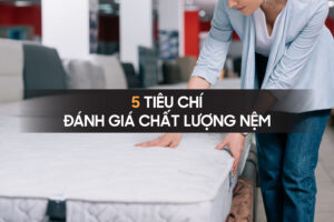 5 tieu chi danh gia chat luong nem
