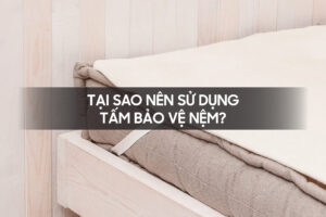 Tai sao nen su dung tam bao ve nem