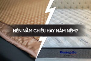 Nen nam nem hay nem chieu
