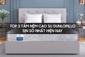 Top 3 tam nem cao su dunlopillo sin so nhat hien nay