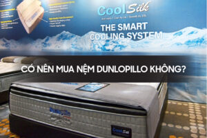 Co nen mua nem dunlopillo khong