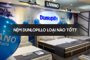 Nem dunlopillo loai nao tot
