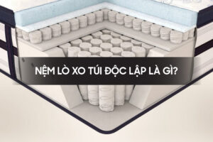 Nem lo xo tui doc lap la gi