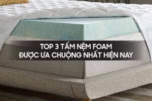 Top 3 tam nem foam duoc ua chuong nhat hien nay
