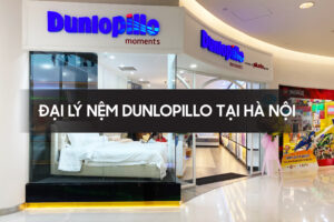 Dai ly nem dunlopillo tai ha noi