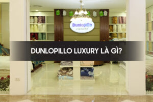 Dunlopillo luxury là gì