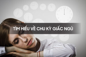 Tìm hiểu về chu kỳ giấc ngủ 01 (1)