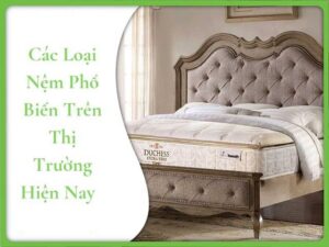 Các loại nệm phổ biến nhất trên thị trường