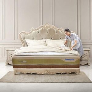 Nên mua đệm của hãng nào? Dunlopillo là sự lựa chọn hoàn hảo