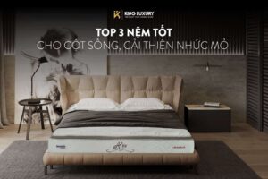Top 3 nệm tốt cho cột sống, cải thiện nhức mỏi