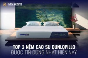 TOP 3 NỆM CAO SU DUNLOPILLO ĐƯỢC TIN DÙNG NHẤT HIỆN NAY
