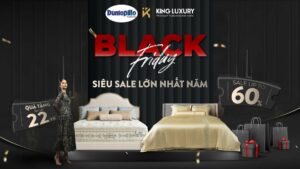 Siêu sale Black Friday (12)