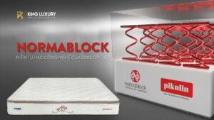 NORMABLOCK CÔNG NGHỆ LÒ XO ĐỘT PHÁ CỦA DUNLOPILLO