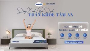 SỐNG XANH NGỦ SẠCH THÂN KHỎE TÂM AN
