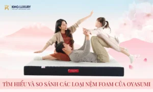 TÌM HIỂU VÀ SO SÁNH CÁC LOẠI NỆM FOAM CỦA OYASUMI (1)